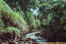 hot springs above stream
