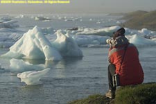 Halla at Jokulsarlon