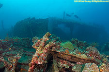 divers on wreck