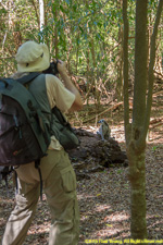 Charlotte and ringtail