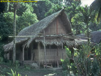 traditional house