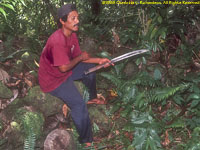 man with machete at Menke ruins