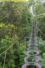 canopy walk