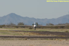 Fox about to touch down