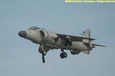 Harrier