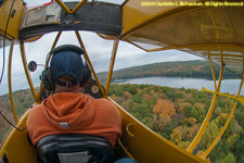 overflying the trees