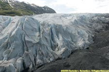 Exit Glacier